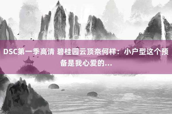 DSC第一季高清 碧桂园云顶奈何样：小户型这个预备是我心爱的...