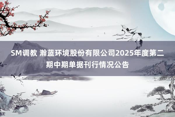 SM调教 瀚蓝环境股份有限公司2025年度第二期中期单据刊行情况公告